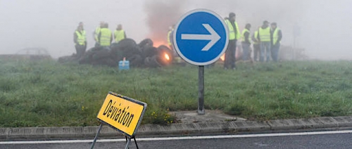 gilets jaunes,pierre kropotkine,stephen jay gould,renaud garcia,darwinisme social,néo-libéralisme,thomas henry huxley,tolstoï,l'entraide : un facteur de l'évolution,malthus,daniel philip todes,the nineteenth century